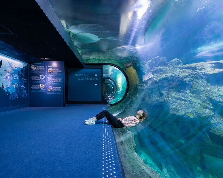 Top 5 des Meilleurs Aquarium de France !